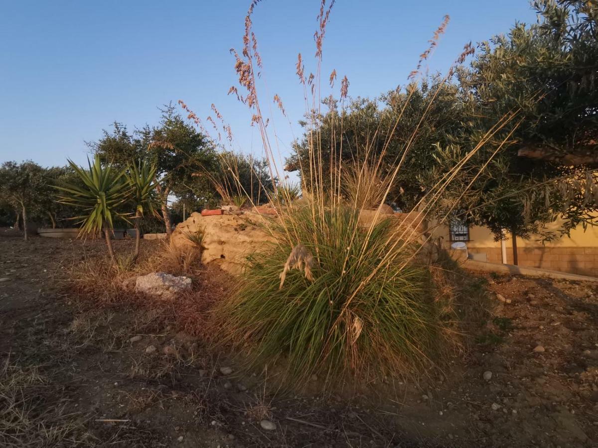 Willa Sole Terra E Mare Casa Chiara Montallegro Zewnętrze zdjęcie